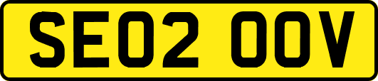 SE02OOV
