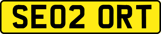SE02ORT