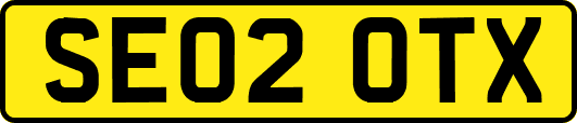 SE02OTX