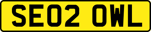 SE02OWL