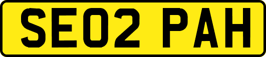SE02PAH