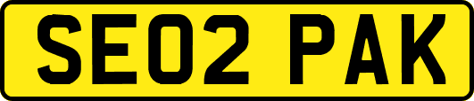 SE02PAK