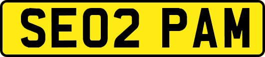 SE02PAM