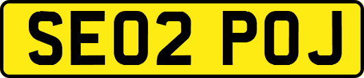 SE02POJ