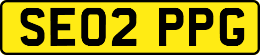 SE02PPG