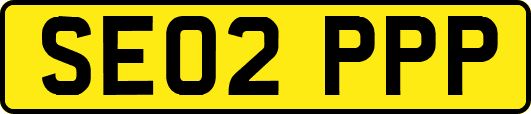 SE02PPP