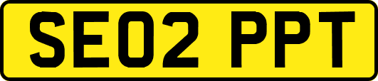 SE02PPT