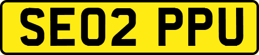 SE02PPU