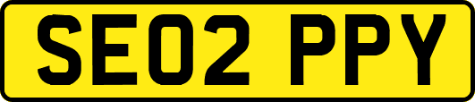 SE02PPY