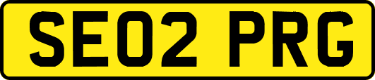 SE02PRG