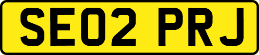 SE02PRJ