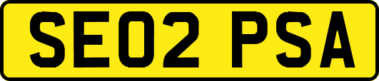 SE02PSA
