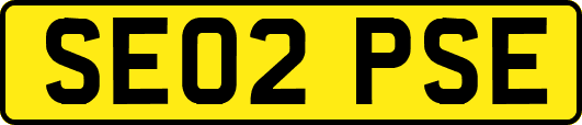 SE02PSE