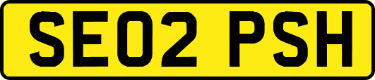 SE02PSH