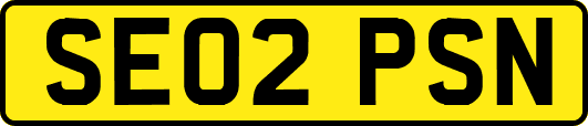 SE02PSN