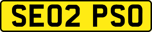 SE02PSO