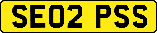 SE02PSS