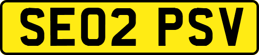 SE02PSV