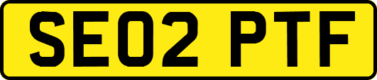 SE02PTF