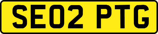 SE02PTG