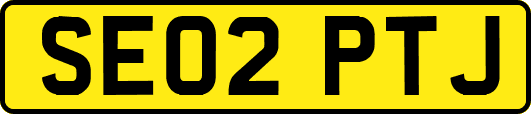 SE02PTJ