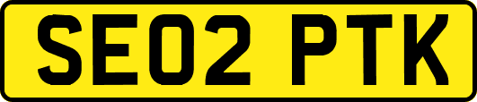 SE02PTK