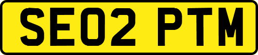 SE02PTM