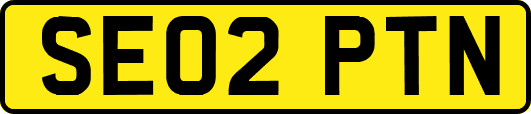SE02PTN