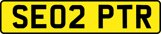 SE02PTR