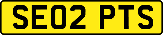 SE02PTS