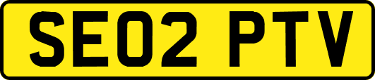 SE02PTV