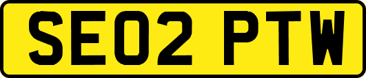SE02PTW