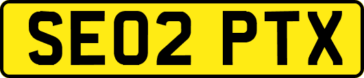 SE02PTX