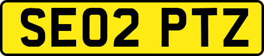 SE02PTZ