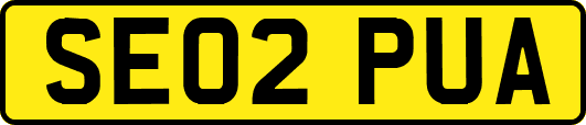 SE02PUA