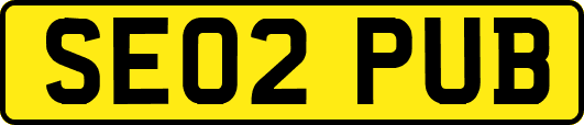 SE02PUB