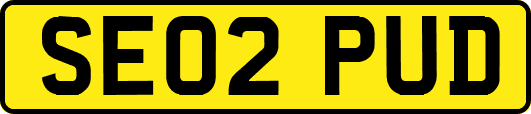 SE02PUD