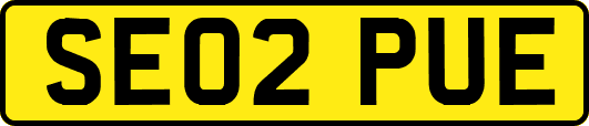 SE02PUE