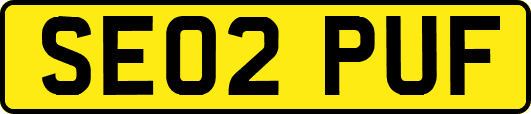 SE02PUF