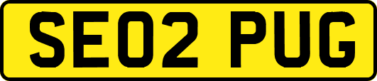 SE02PUG