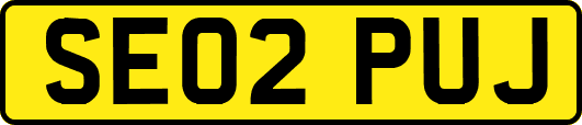 SE02PUJ