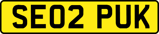 SE02PUK