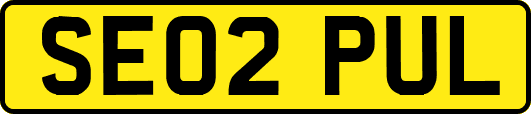 SE02PUL