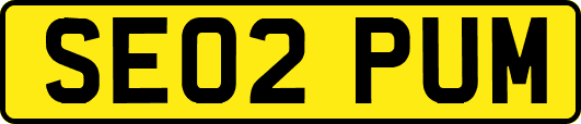 SE02PUM