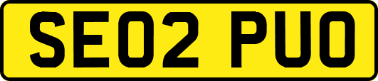 SE02PUO