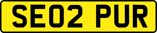 SE02PUR