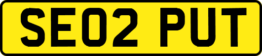 SE02PUT