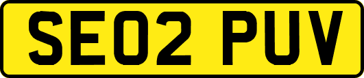 SE02PUV