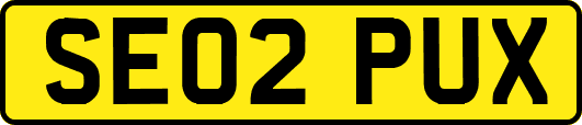 SE02PUX