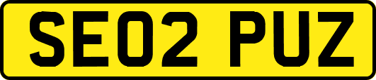 SE02PUZ